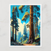 Humboldt Redwoods Californië Verenigde Staten vint Briefkaart (Voorkant)