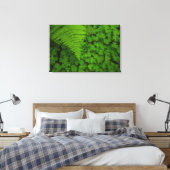 Humboldt Redwoods State Park Canvas Afdruk (Insitu (Slaapkamer))