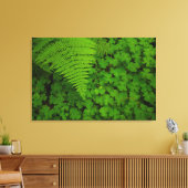 Humboldt Redwoods State Park Canvas Afdruk (Insitu (Woonkamer))