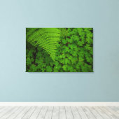 Humboldt Redwoods State Park Canvas Afdruk (Insitu (Houten vloer))