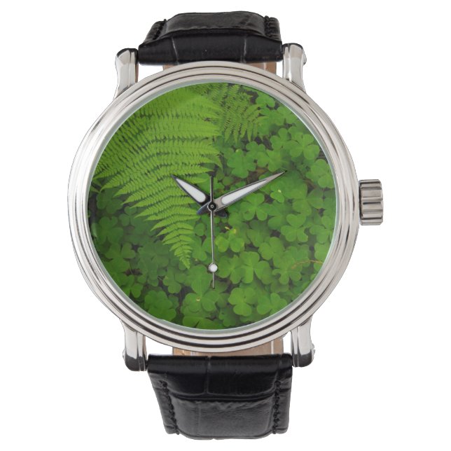 Humboldt Redwoods State Park Horloge (Voorkant)