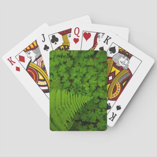 Humboldt Redwoods State Park Pokerkaarten (Achterkant)