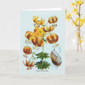 Humboldtii van Lilium Kaart (Gele Bloem)