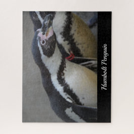 Humbolt Penguin in Drusillas Zoo in East Sussex Legpuzzel
