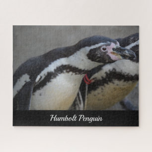 Humbolt Penguin in Drusillas Zoo in East Sussex Legpuzzel