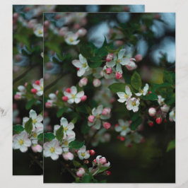 Humeurige appelboom bloeit Scrapbook Papier