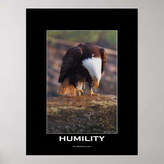 HUMILITY Bald Eagle Motivatie Poster (Voorkant)