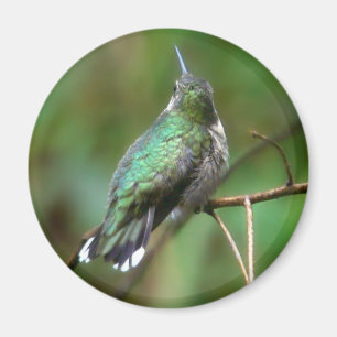 Humm, met rust magneet