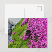 Hummel Briefkaart (Voorkant / Achterkant)