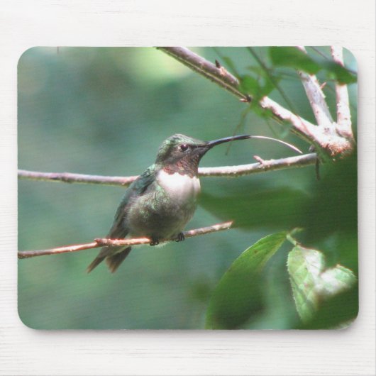 Hummer Kiss Mousepad Muismat (Voorkant)