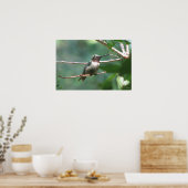 Hummer Kiss Poster (Keuken)