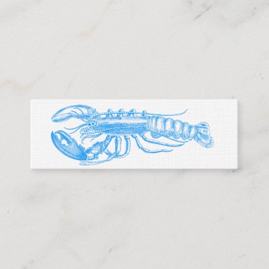 Hummer lichtblauwe reeks mini visitekaartje (Voorkant)