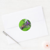 Hummer Moth Vervain Sticker (Envelop)