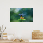 Humming Angel Wings Poster (Keuken)