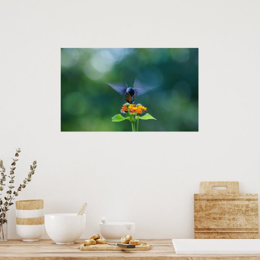 Humming Angel Wings Poster (Keuken)