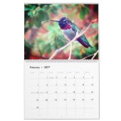 Humming Bird 2025 LargeCalendar, Wit Kalender (Feb 2027)
