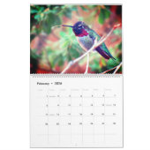 Humming Bird 2025 LargeCalendar, Wit Kalender (Feb 2026)