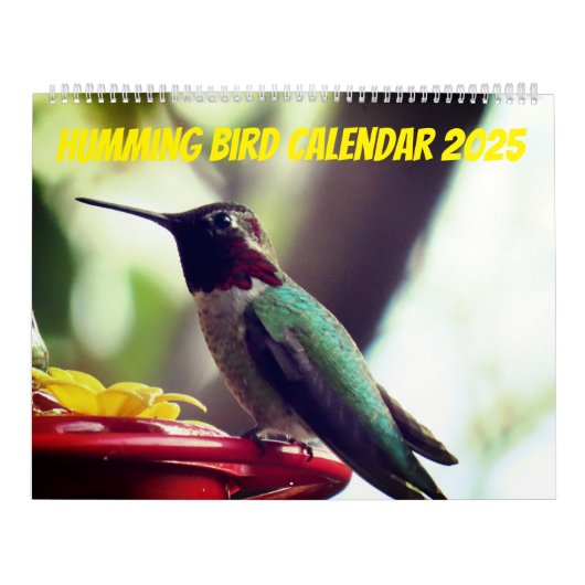 Humming Bird 2025 LargeCalendar, Wit Kalender (Hoes)