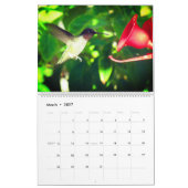 Humming Bird 2025 LargeCalendar, Wit Kalender (Mar 2027)
