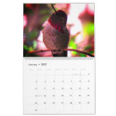 Humming Bird 2025 LargeCalendar, Wit Kalender (Jan 2027)
