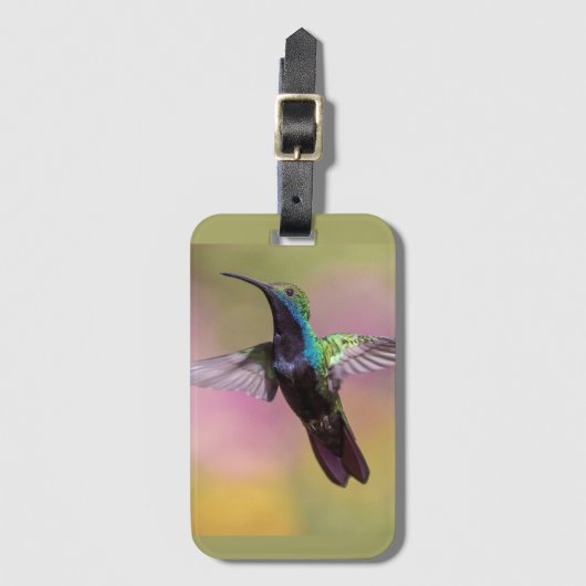 Humming Bird Bagagelabel (Voorkant (verticaal))