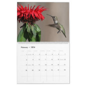 Humming Bird Calendar Nature Wildlife Photos Kalender (Feb 2026)