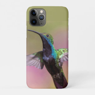 Humming Bird Case-Mate iPhone Case