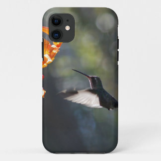 Humming Bird iPhone 11 Hoesje