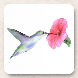 Humming Bird Cork Onderzetter (6) 3,8x3,8 inch