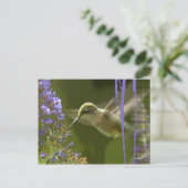Humming Bird Harmony Briefkaart (Staand voorkant)