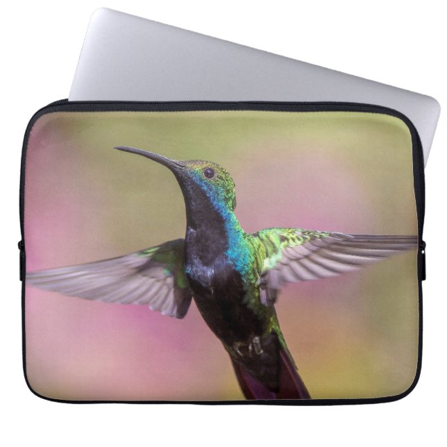 Humming Bird Laptop Sleeve (Voorkant)