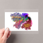 Humming Bird love Acryl Uitnodigingen (Insitu (Draagbaar))