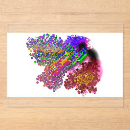 Humming Bird love Acryl Uitnodigingen