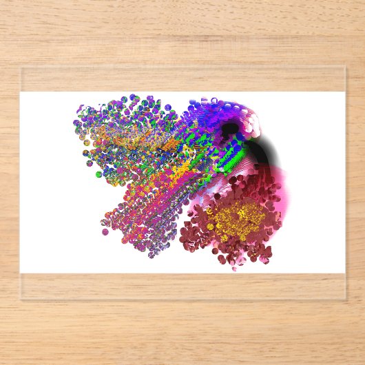 Humming Bird love Acryl Uitnodigingen (Voorkant)