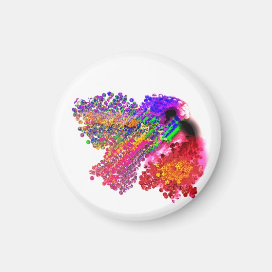 Humming Bird love Magneet (Voorkant)