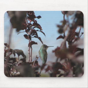 Humming Bird Muismat