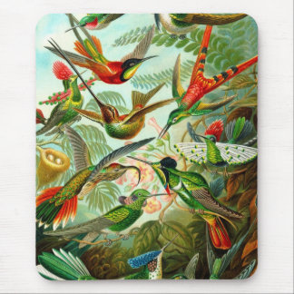 Humming Bird Muismat