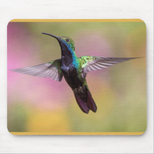 Humming Bird Muismat