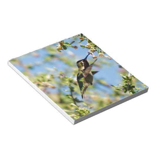 Humming Bird Notitieblok (Schuin)