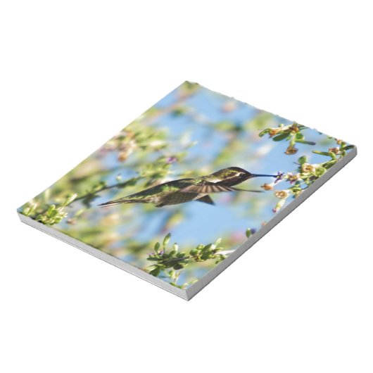 Humming Bird Notitieblok (Linkerzijde)
