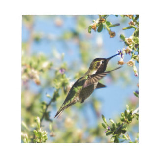 Humming Bird Notitieblok