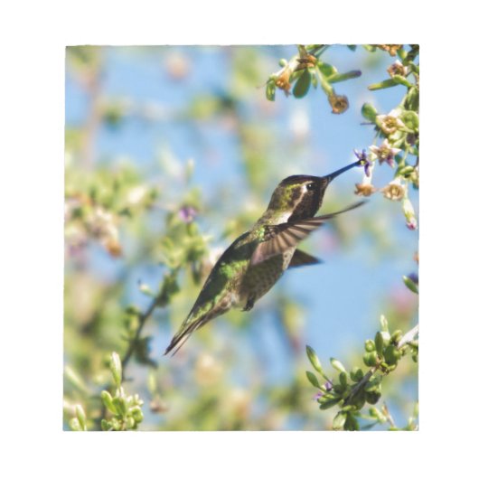 Humming Bird Notitieblok (Voorkant)