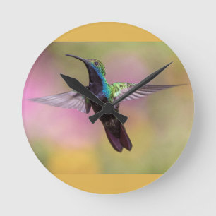 Humming Bird Ronde Klok