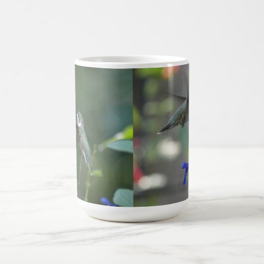 Humming Bird salvia sapphire blue mok (Center)