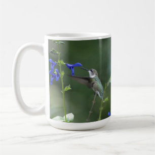 Humming Bird salvia sapphire blue mok