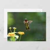 Humming door om hallo te zeggen! briefkaart (Voorkant / Achterkant)