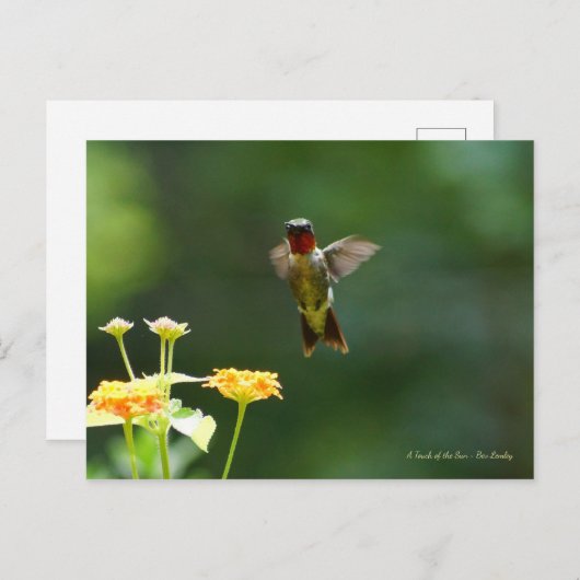 Humming door om hallo te zeggen! briefkaart (Voorkant / Achterkant)