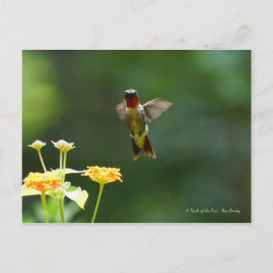 Humming door om hallo te zeggen! briefkaart