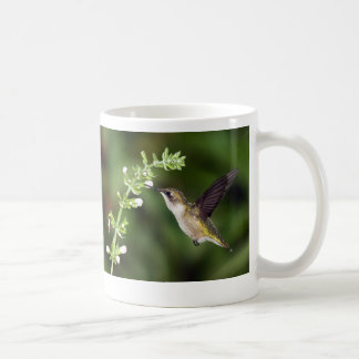 Hummingbird 10 Mok