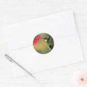 Hummingbird 1.jpg ronde sticker (Envelop)